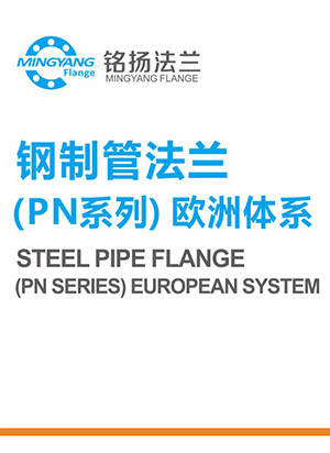 鋼制管法蘭（PN系列）歐洲體系