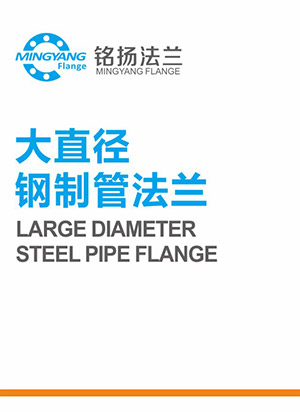 大直徑鋼制管法蘭