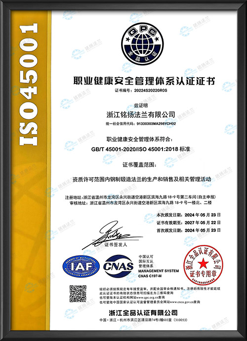 職業(yè)健康安全管理體系認(rèn)證證書(shū)